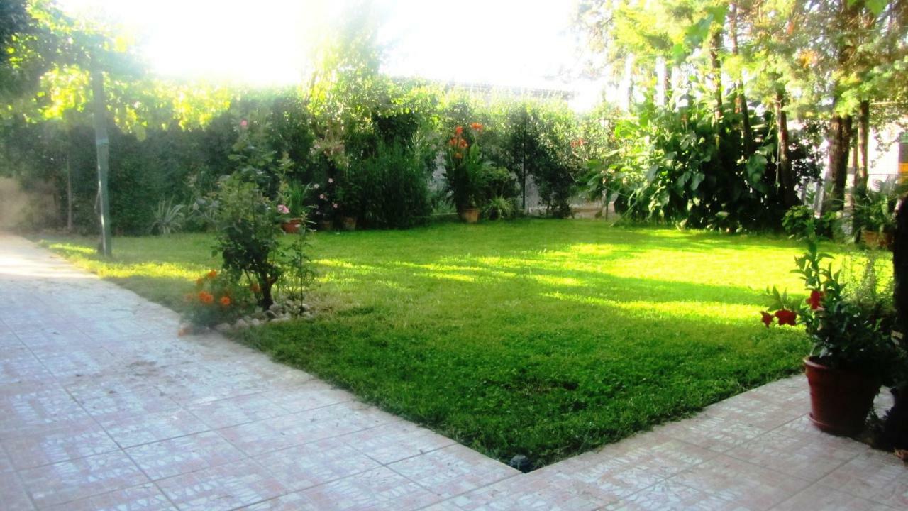 Casa Bluelive Guest House Venafro Exterior photo