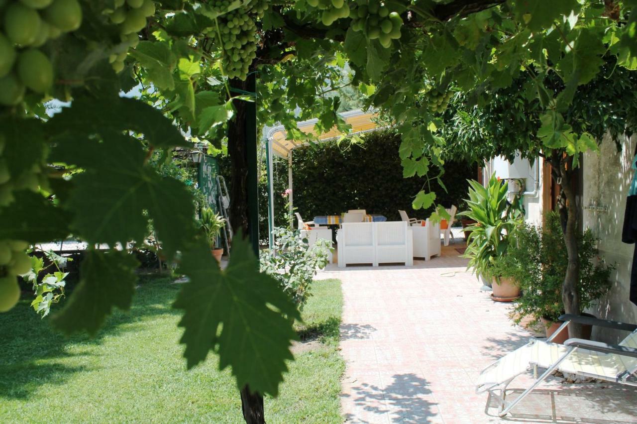 Casa Bluelive Guest House Venafro Exterior photo